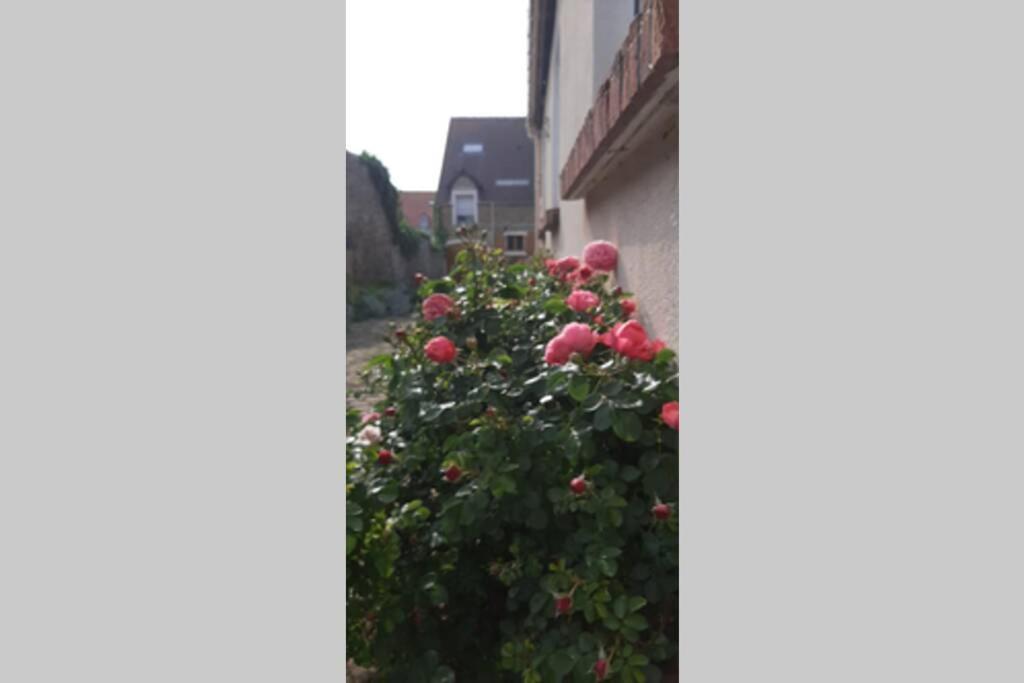 Willa La Cour Pavee Boulogne-sur-Mer Zewnętrze zdjęcie